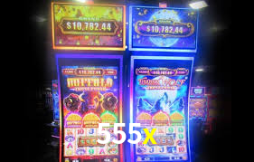 555x bet paga
